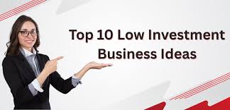 Top 10 Low Investment Business Ideas