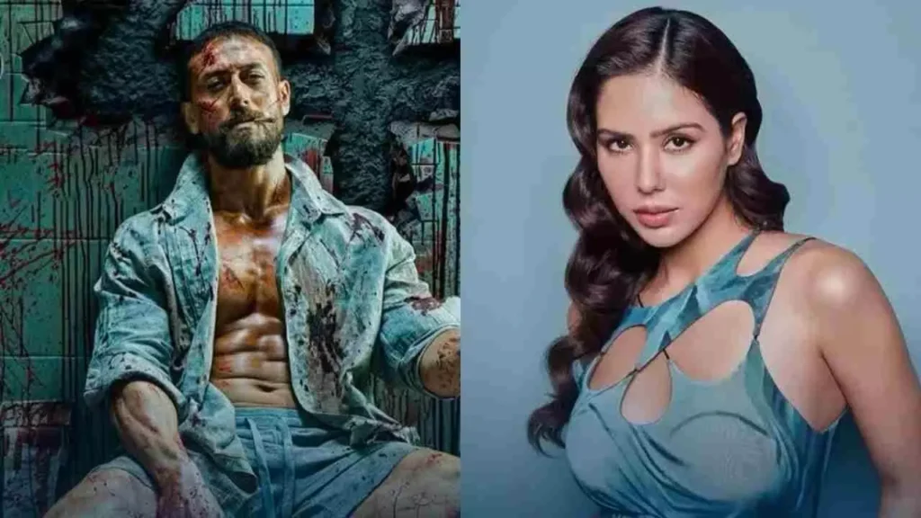 Baaghi 4 Star Cast in Bigg Boss 19