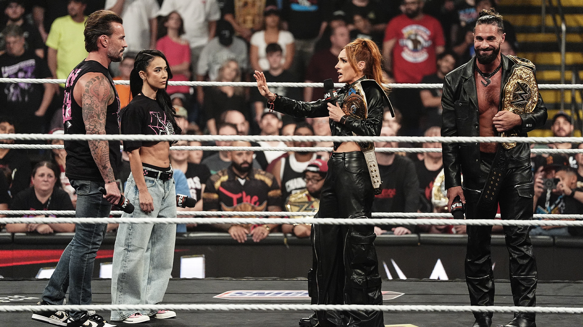 CM Punk and AJ Lee vs Seth Rollins and Becky Lynch Wrestlepalooza