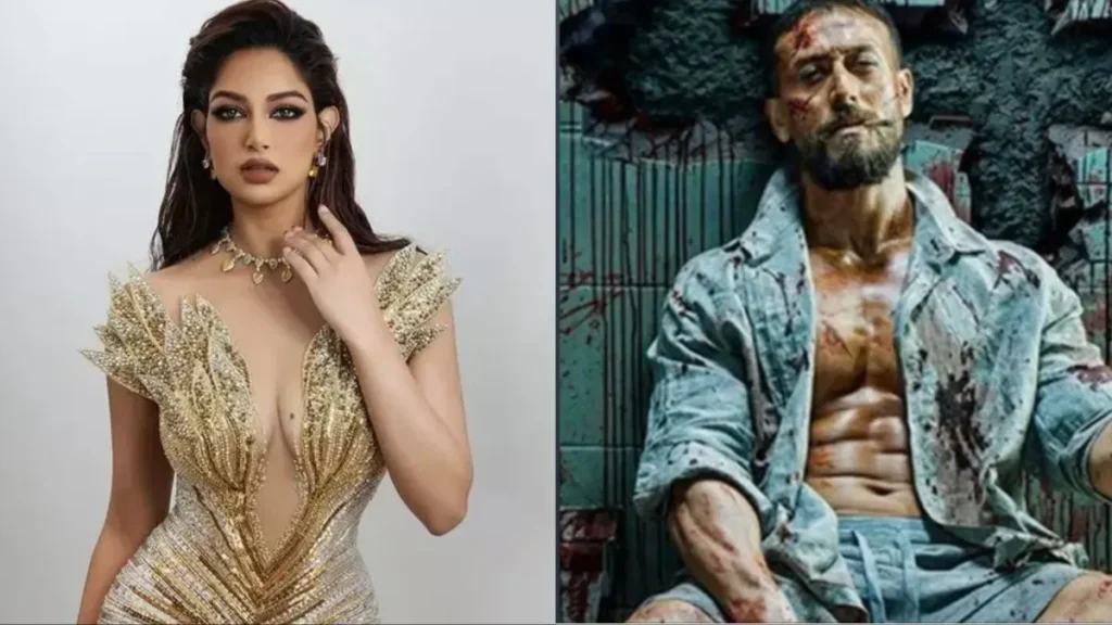 Baaghi 4 Hit or Flop