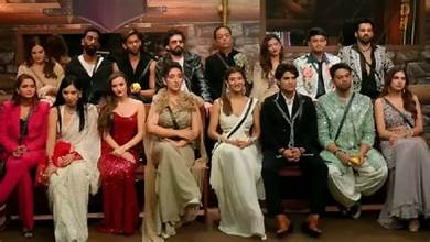 Bigg Boss 19 Episode Highlights vs Fan Reactions